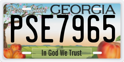 GA license plate PSE7965