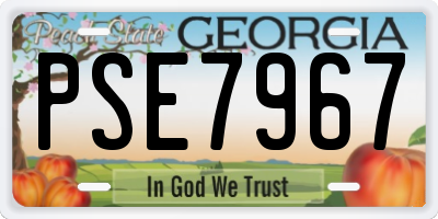 GA license plate PSE7967
