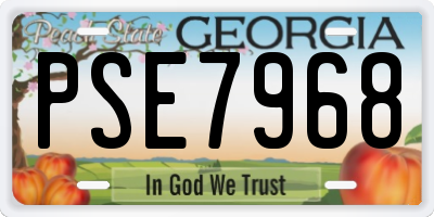 GA license plate PSE7968