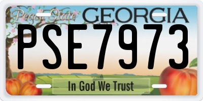 GA license plate PSE7973