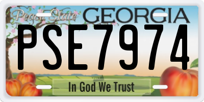 GA license plate PSE7974