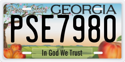 GA license plate PSE7980