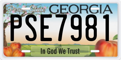 GA license plate PSE7981