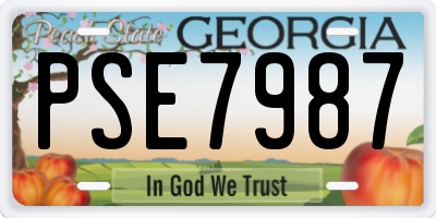 GA license plate PSE7987