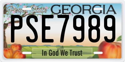 GA license plate PSE7989