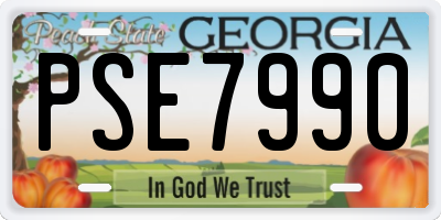 GA license plate PSE7990