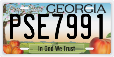 GA license plate PSE7991