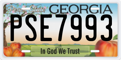 GA license plate PSE7993