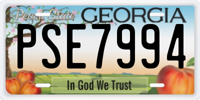 GA license plate PSE7994