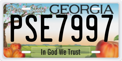 GA license plate PSE7997