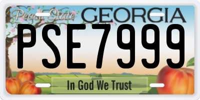 GA license plate PSE7999
