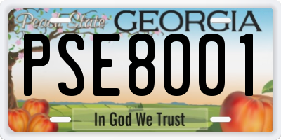 GA license plate PSE8001
