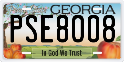 GA license plate PSE8008