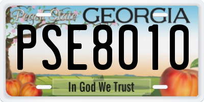 GA license plate PSE8010