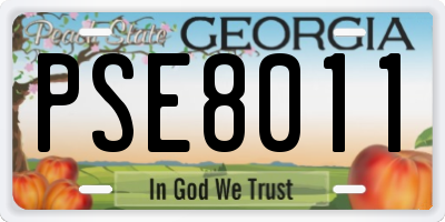 GA license plate PSE8011