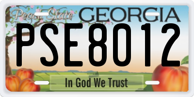 GA license plate PSE8012