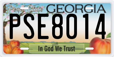 GA license plate PSE8014