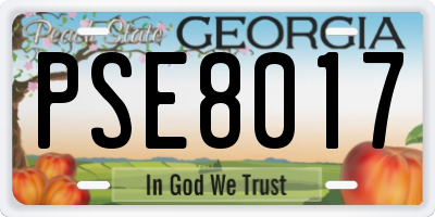 GA license plate PSE8017