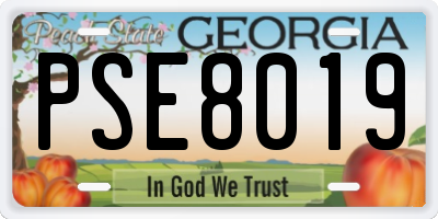 GA license plate PSE8019