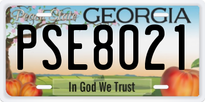 GA license plate PSE8021