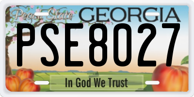 GA license plate PSE8027