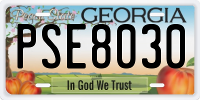 GA license plate PSE8030