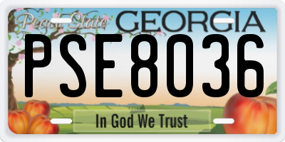 GA license plate PSE8036