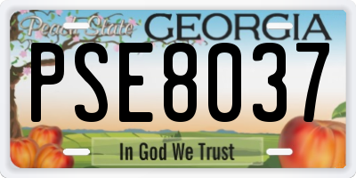 GA license plate PSE8037