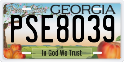 GA license plate PSE8039