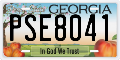 GA license plate PSE8041