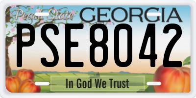 GA license plate PSE8042