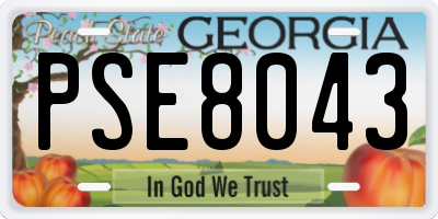 GA license plate PSE8043