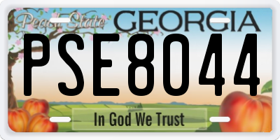 GA license plate PSE8044