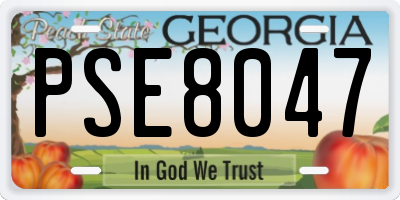 GA license plate PSE8047