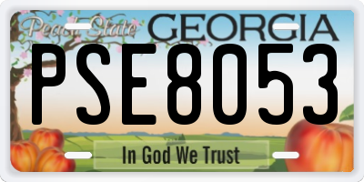 GA license plate PSE8053