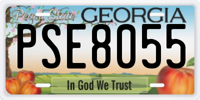 GA license plate PSE8055