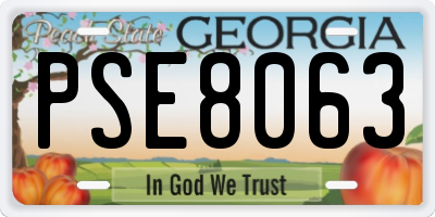 GA license plate PSE8063