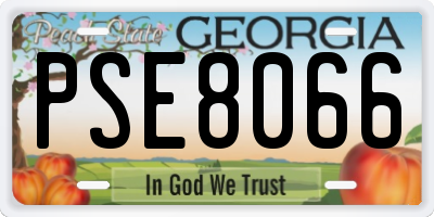 GA license plate PSE8066