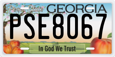 GA license plate PSE8067