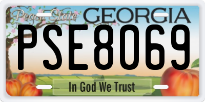 GA license plate PSE8069