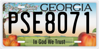 GA license plate PSE8071