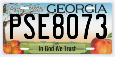 GA license plate PSE8073