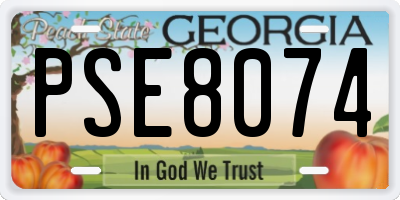 GA license plate PSE8074