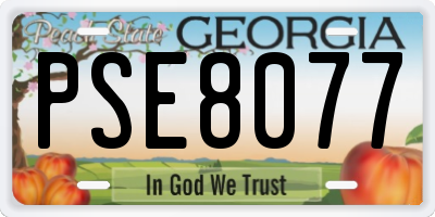 GA license plate PSE8077