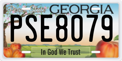 GA license plate PSE8079