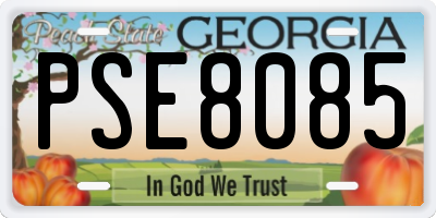 GA license plate PSE8085