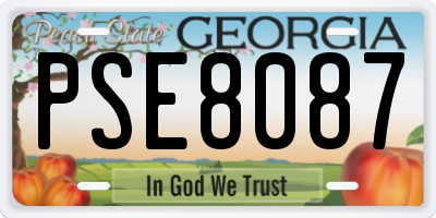 GA license plate PSE8087