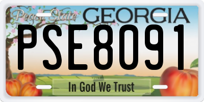 GA license plate PSE8091