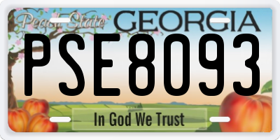 GA license plate PSE8093