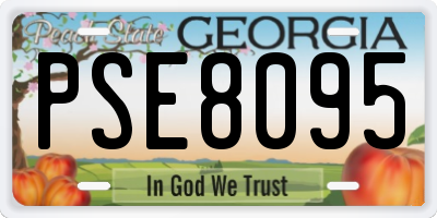 GA license plate PSE8095
